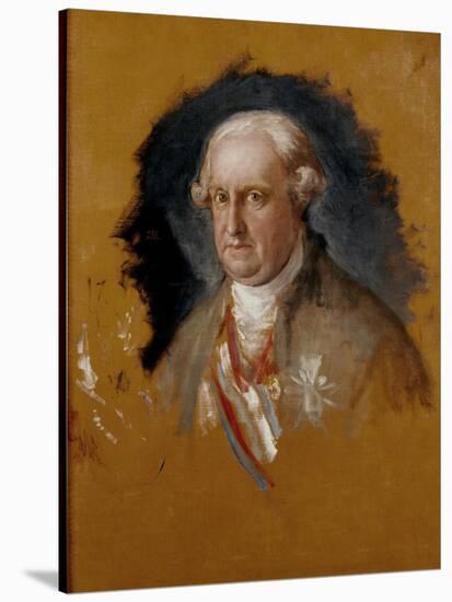 The Infante don Antonio Pascual de Borbón, 1800-Francisco de Goya-Stretched Canvas