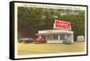 The Inferno Drive-In, Roadside Retro-null-Framed Stretched Canvas