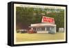 The Inferno Drive-In, Roadside Retro-null-Framed Stretched Canvas