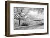 The Infrared Dreamy Scenery-Gary718-Framed Photographic Print