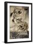 The Ingoldsby Legends: Frontispiece-Arthur Rackham-Framed Giclee Print