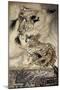 The Ingoldsby Legends: Frontispiece-Arthur Rackham-Mounted Giclee Print