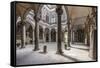 The inner courtyard of the Palazzo Medici Riccardi, Florence, UNESCO World Heritage Site, Tuscany, -Julian Elliott-Framed Stretched Canvas