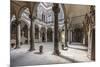 The inner courtyard of the Palazzo Medici Riccardi, Florence, UNESCO World Heritage Site, Tuscany, -Julian Elliott-Mounted Photographic Print