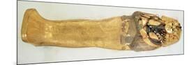 The Innermost Coffin of the King, from the Tomb of Tutankhamun-Egyptian 18th Dynasty-Mounted Giclee Print