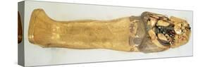 The Innermost Coffin of the King, from the Tomb of Tutankhamun-Egyptian 18th Dynasty-Stretched Canvas