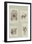 Black Frame