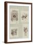 Brown Frame