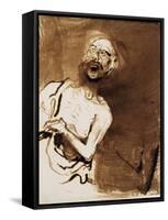 The Insane-Victor Hugo-Framed Stretched Canvas