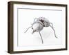 The Insect, 1996-Lawrie Simonson-Framed Giclee Print