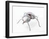 The Insect, 1996-Lawrie Simonson-Framed Giclee Print