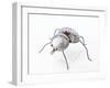 The Insect, 1996-Lawrie Simonson-Framed Giclee Print