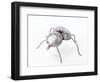 The Insect, 1996-Lawrie Simonson-Framed Giclee Print