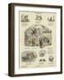 The Insects' Ball-null-Framed Giclee Print