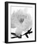 The Inside Of Self, 2007-Hiroyuki Arakawa-Framed Photographic Print