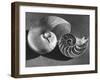 The Interior Design of the Shell-Fritz Goro-Framed Photographic Print