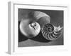 The Interior Design of the Shell-Fritz Goro-Framed Photographic Print