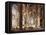 The Interior of a Renaissance Cathedral-Christian Stocklin-Framed Stretched Canvas