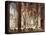 The Interior of a Renaissance Cathedral-Christian Stocklin-Stretched Canvas