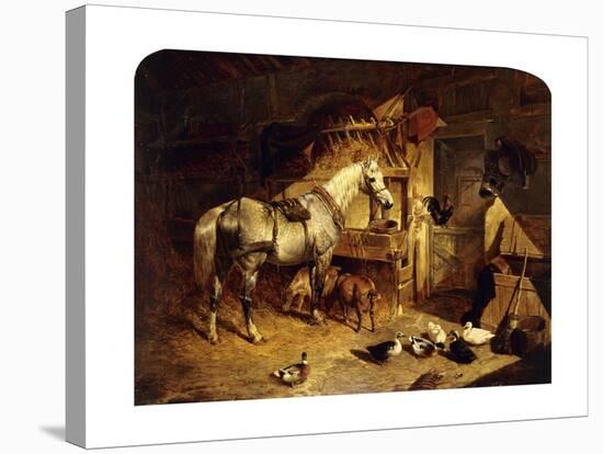 The Interior of a Stable with a Dapple Grey Horse, Ducks, Goats, and a Cockerel by a Manger-John Frederick Herring I-Stretched Canvas