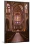 The Interior of Saint Denis Basilica in Paris, France, Europe-Julian Elliott-Mounted Photographic Print