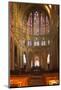 The Interior of Saint Pierre Church in Chartres, Eure-Et-Loir, Centre, France, Europe-Julian Elliott-Mounted Photographic Print