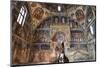 The interior of the Padua Baptistery, Padua, Veneto, Italy, Europe-Marco Brivio-Mounted Photographic Print