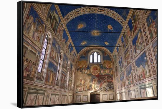 The interior of the Scrovegni Chapel, frescoes by Giotto, Padua, Veneto, Italy, Europe-Marco Brivio-Framed Stretched Canvas