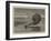 The International Balloon Contest, Descent of the French Balloon at Long Island, Near Portsmouth-null-Framed Giclee Print