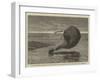 The International Balloon Contest, Descent of the French Balloon at Long Island, Near Portsmouth-null-Framed Giclee Print