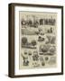 The International Balloon Contest-null-Framed Giclee Print