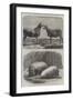 The International Cattle Show at Poissy-Friedrich Wilhelm Keyl-Framed Giclee Print