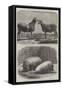 The International Cattle Show at Poissy-Friedrich Wilhelm Keyl-Framed Stretched Canvas