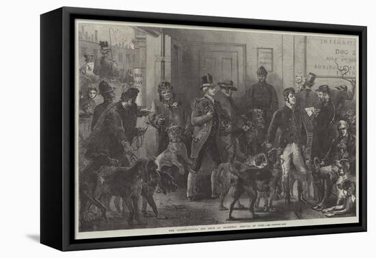 The International Dog Show at Islington, Arrival of Dogs-Harden Sidney Melville-Framed Stretched Canvas