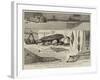 The International Fisheries Exhibition, Articles of Fishing Gear-George Henry Andrews-Framed Giclee Print