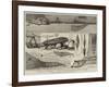 The International Fisheries Exhibition, Articles of Fishing Gear-George Henry Andrews-Framed Giclee Print