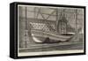 The International Fisheries Exhibition, Grace Darling's Boat-George Henry Andrews-Framed Stretched Canvas