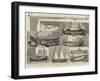 The International Fisheries Exhibition-null-Framed Giclee Print