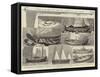 The International Fisheries Exhibition-null-Framed Stretched Canvas