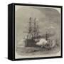 The International Naval Festival at Portsmouth-Edwin Weedon-Framed Stretched Canvas