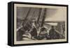 The International Ocean Yacht Race-Walter William May-Framed Stretched Canvas