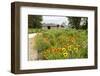 The International Peace Gardens Near Dunseith, North Dakota, USA-Chuck Haney-Framed Photographic Print