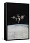 The International Space Station in Orbit Above Earth-null-Framed Stretched Canvas