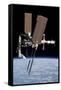 The International Space Station in Orbit Above Earth-null-Framed Stretched Canvas