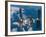 The International Space Station Moves Away from the Space Shuttle Atlantis, June 19, 2007-Stocktrek Images-Framed Photographic Print