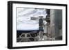 The International Space Station with Two Docked Russian Spacecraft-null-Framed Photographic Print