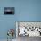 The International Space Station-null-Photographic Print displayed on a wall