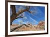 The Interwoven Desert-Andrew Geiger-Framed Giclee Print