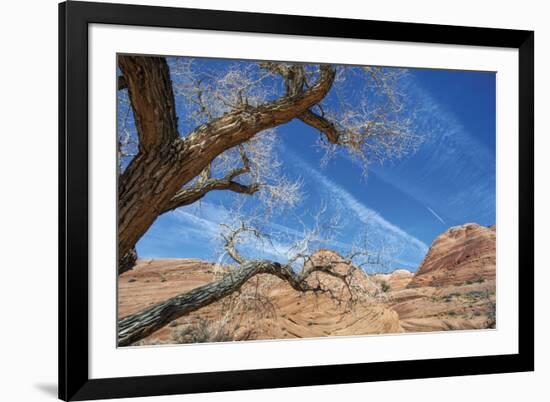 The Interwoven Desert-Andrew Geiger-Framed Giclee Print