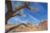 The Interwoven Desert-Andrew Geiger-Mounted Giclee Print